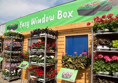 Easy Window Box presentation at Dümmen Orange in Rheinberg, Germany. 